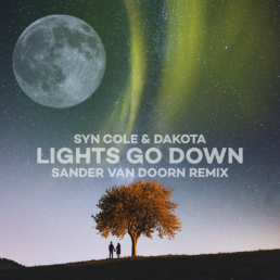 SANDER VAN DOORN REMIXES SYN COLE & DAKOTA'S LIGHTS GO DOWN'