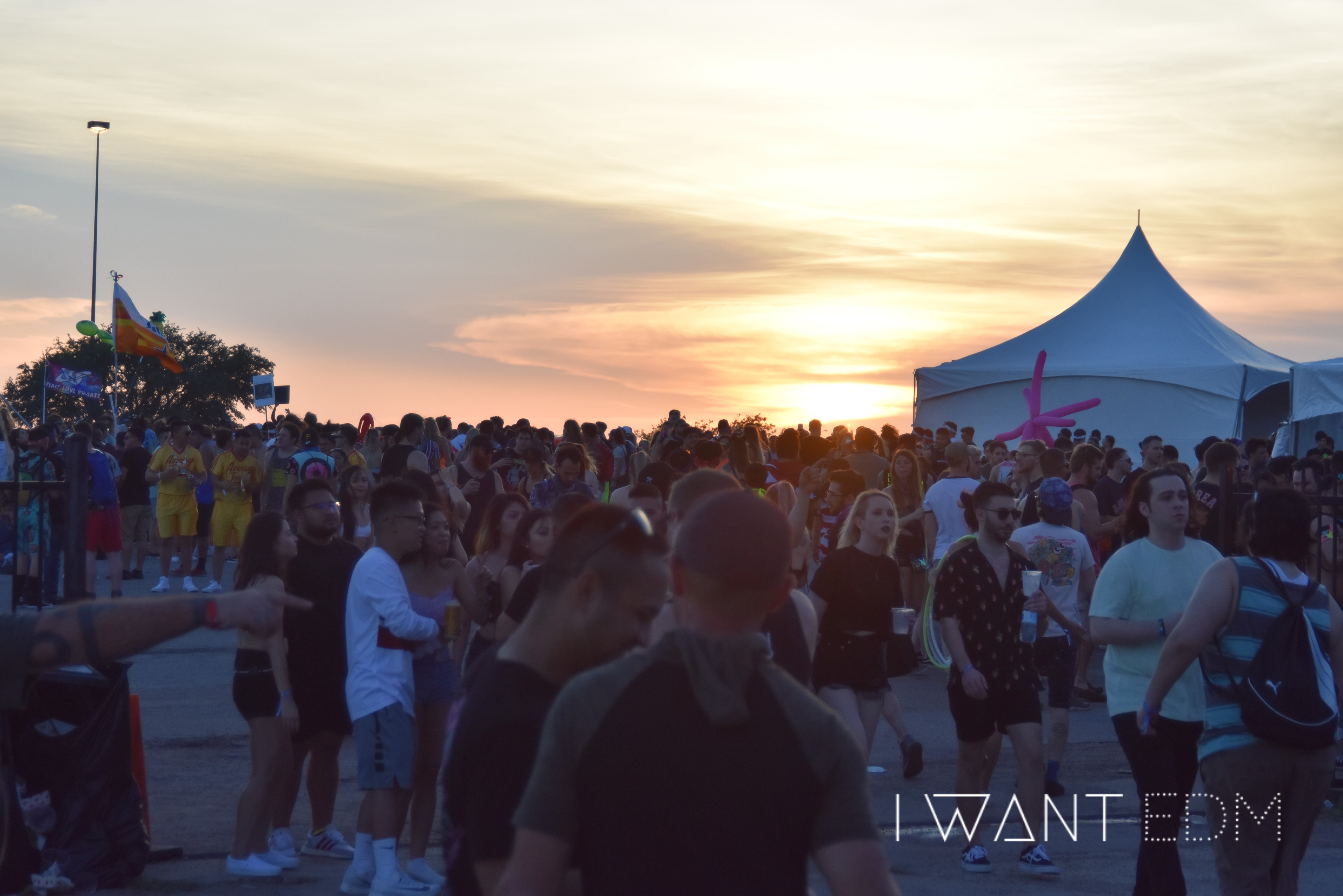 ILLFEST 2019