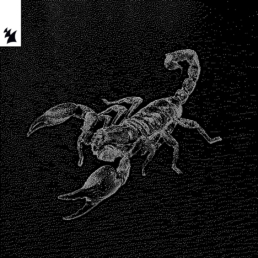 a white scorpion on a black background