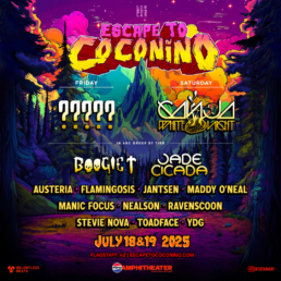 the names of the artists on the flyer with a mystery head liner on friday