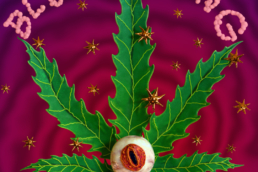 a weed leaf upon a trippy background with an eye ball in it
