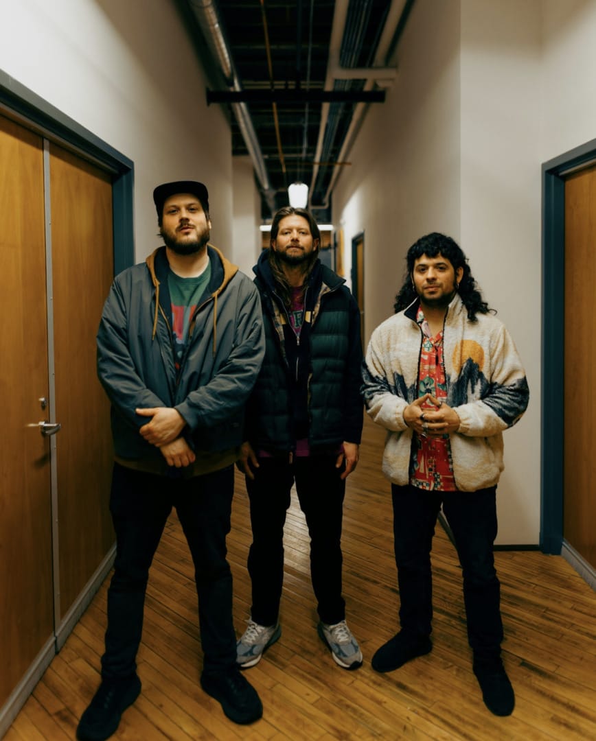 flamingosis and Diastrata