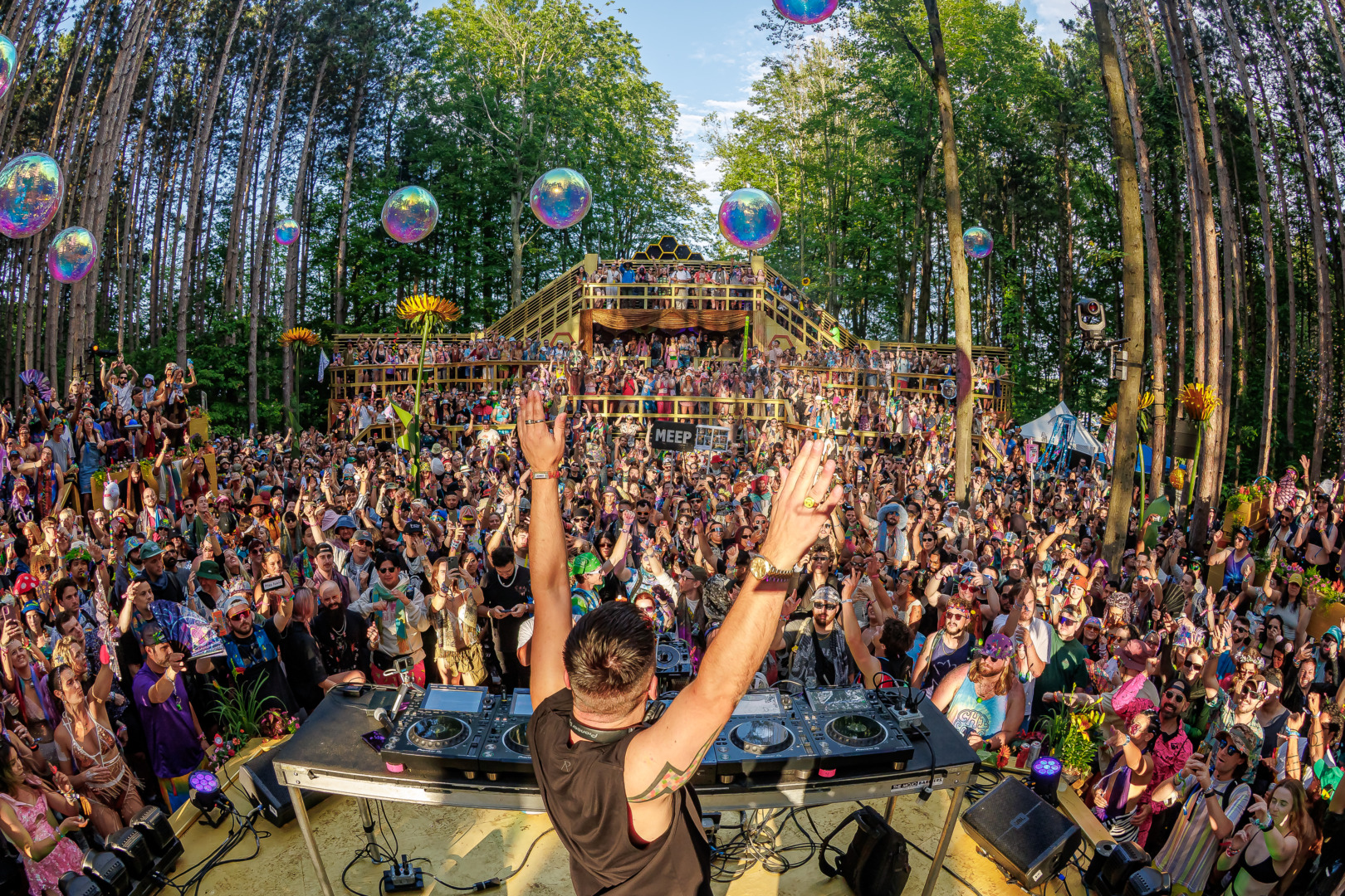 Electric Forest