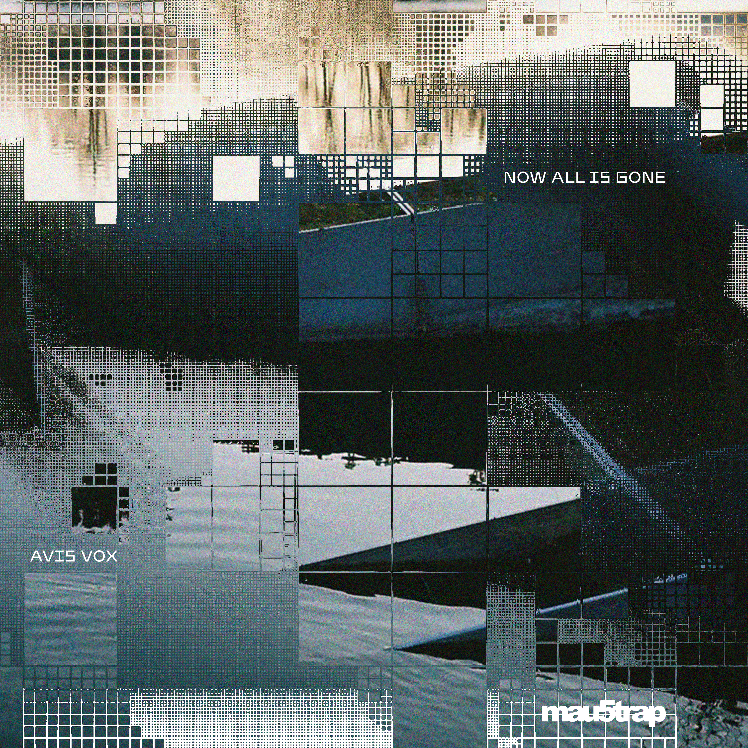 Avis Vox - Now All Is Gone